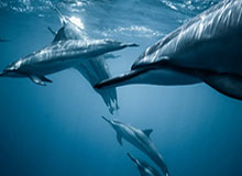 南京男篮分享郭昊文回归并配文：谁回来了这是